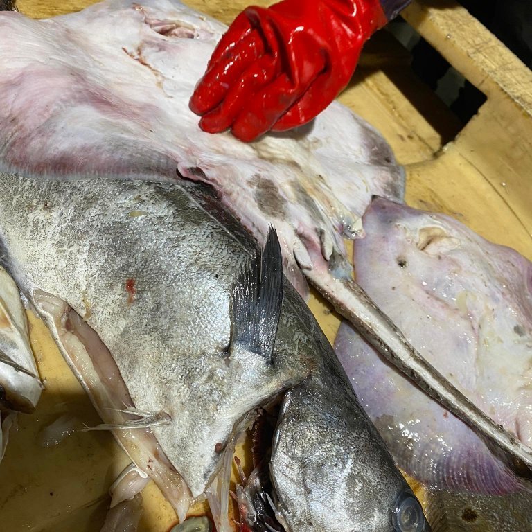 272430799_395449785715926_6045126329534543538_n