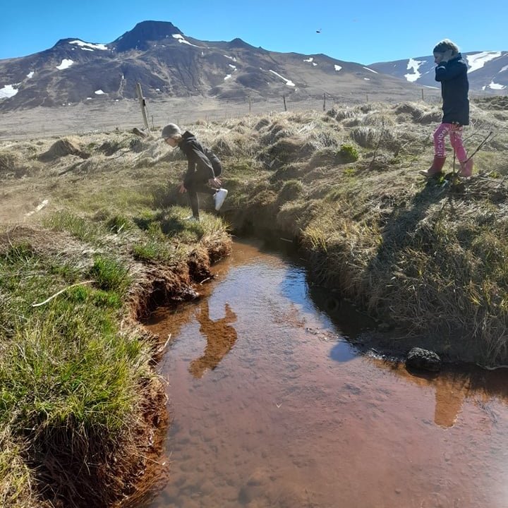 192172976_4380288098648735_2860808241398152095_n