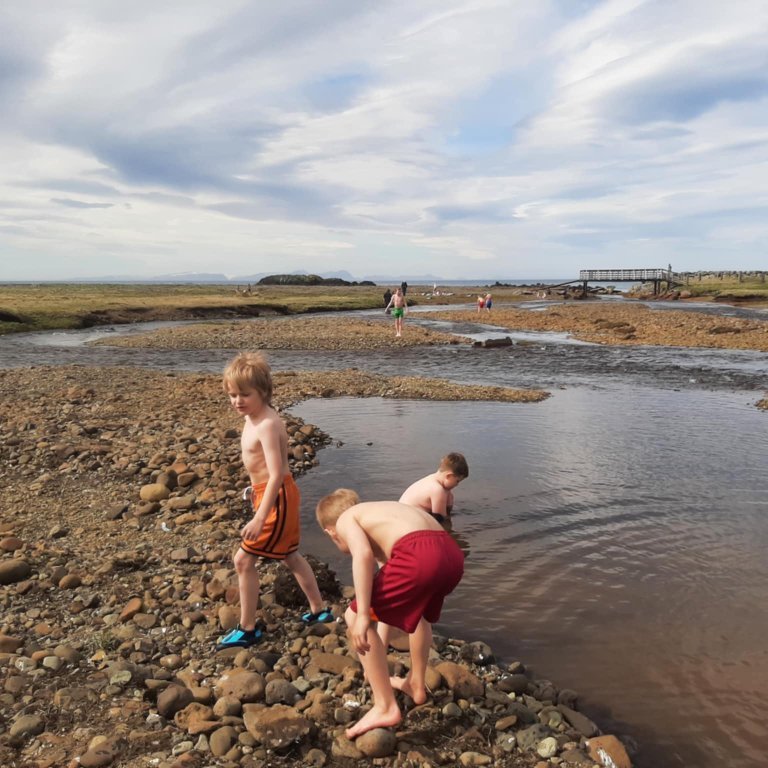 aec2b8d5-3800-41d1-bc24-3ad5cb962f94