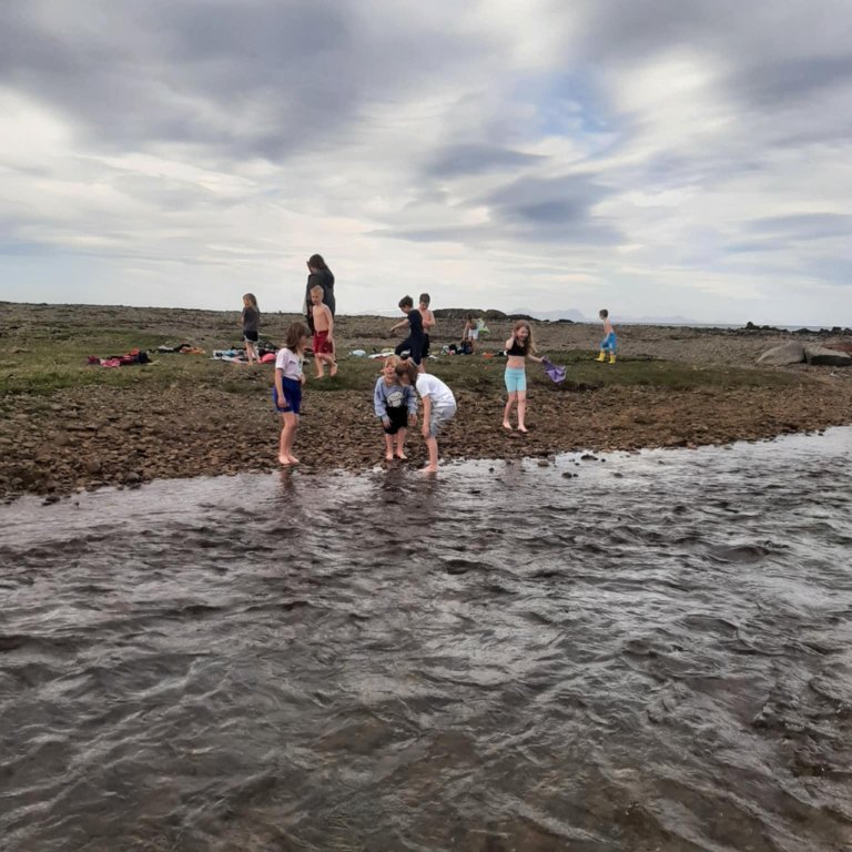 fa11e5e3-001f-4af7-82f1-81ec0b419618