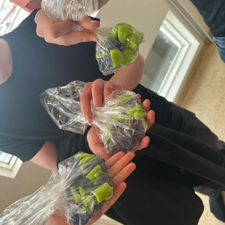 1fdfed56-684f-4a87-9f9b-0b552923e9e3