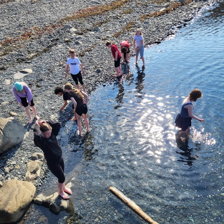 28c197fe-cd42-494a-b0d4-b3f2f6d3089f