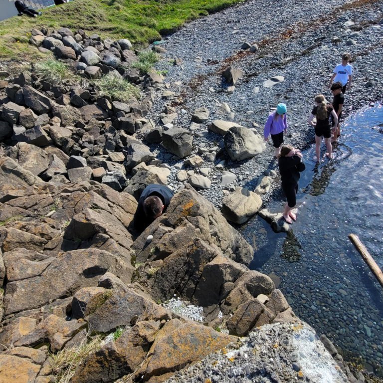 9c7e62bf-6d7e-4bb2-a33f-2c137bd1f421