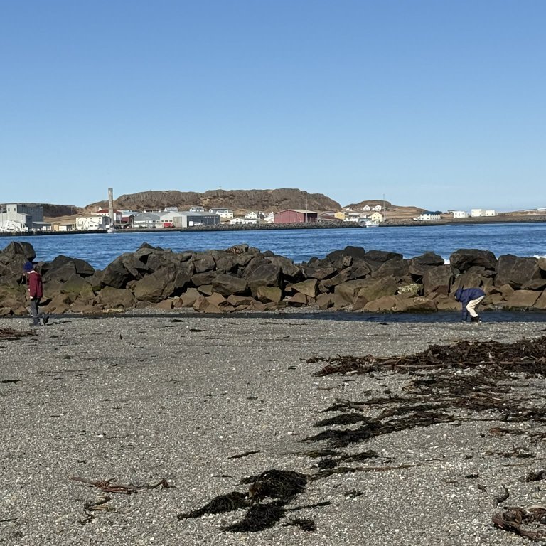 3694acaf-bdb3-4b49-a40e-31c281b8a48b