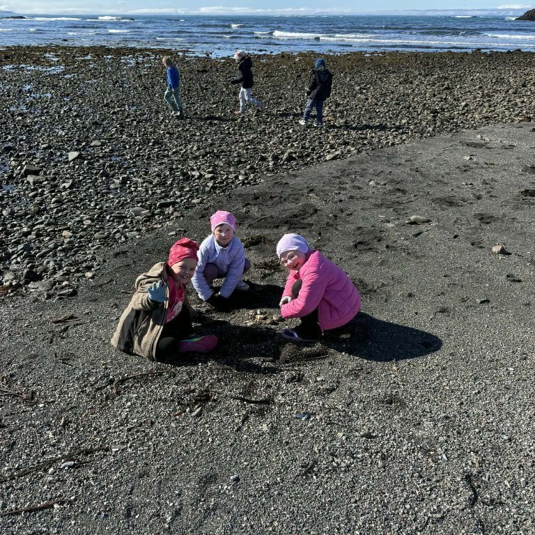 d6e893b0-0d4f-4cfa-a5d0-e5c69ae0956a