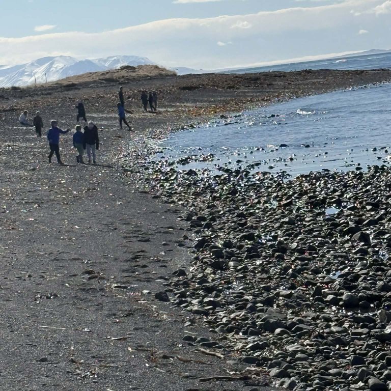 e71c2829-3775-4f3f-9bcb-03de33ce2dfb