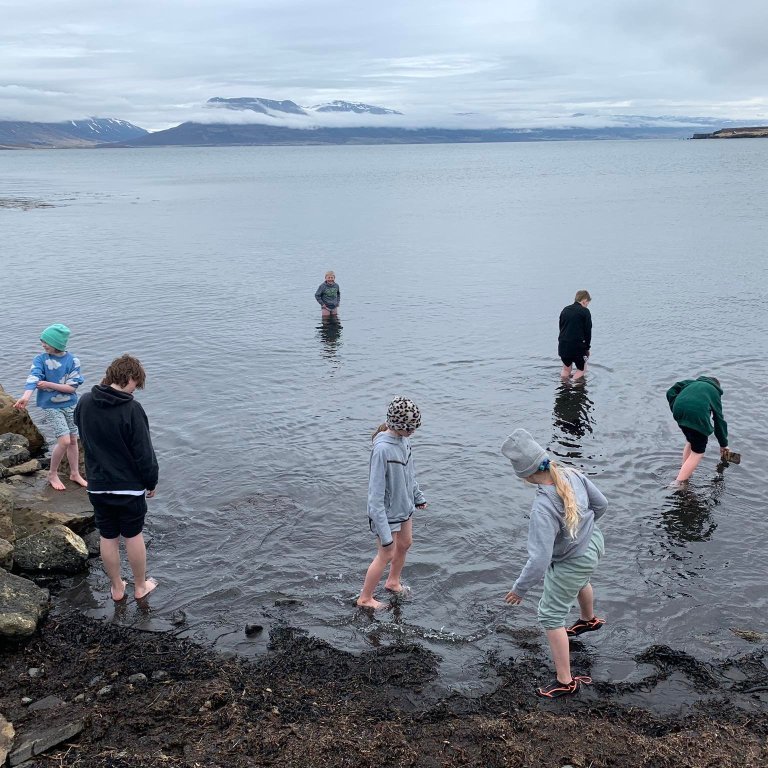 344260991_212081138267107_3997176485170263532_n