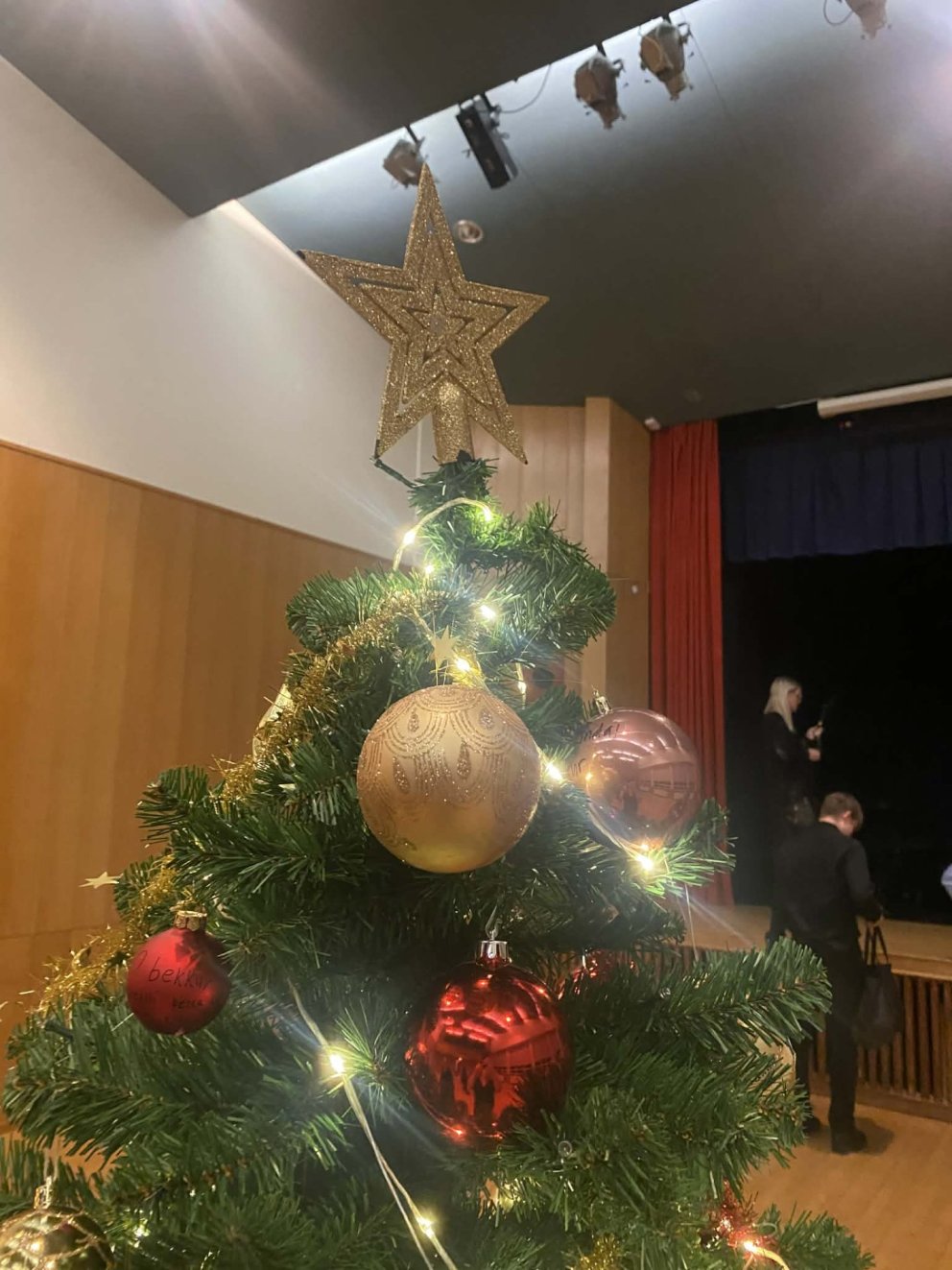 Föstudagskveðja fyrir jólafrí