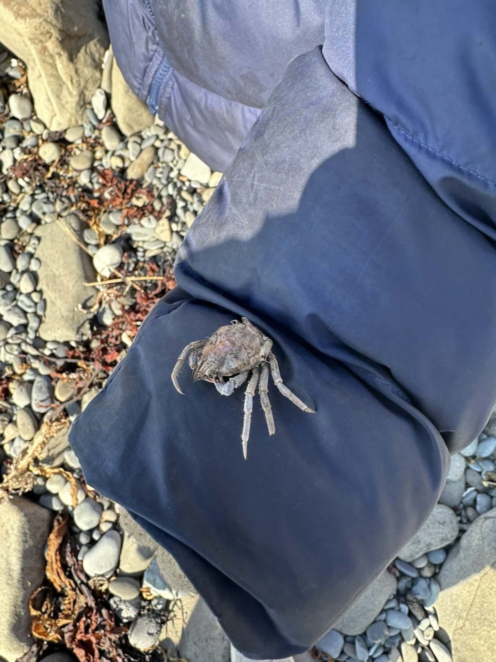 Rannsóknarferð í blíðunni