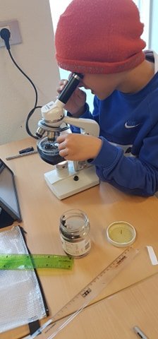 Náttúrufræðiverkefni á miðstigi