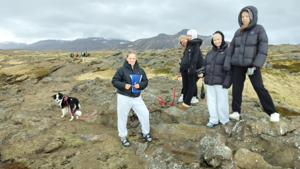 Nemendur í tilraunavali kanna fuglalíf á Höfðanum