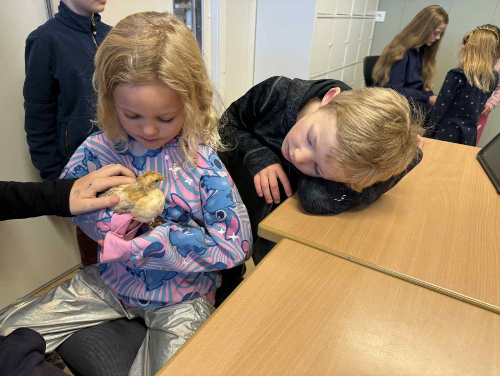 Fjölgun í skólanum