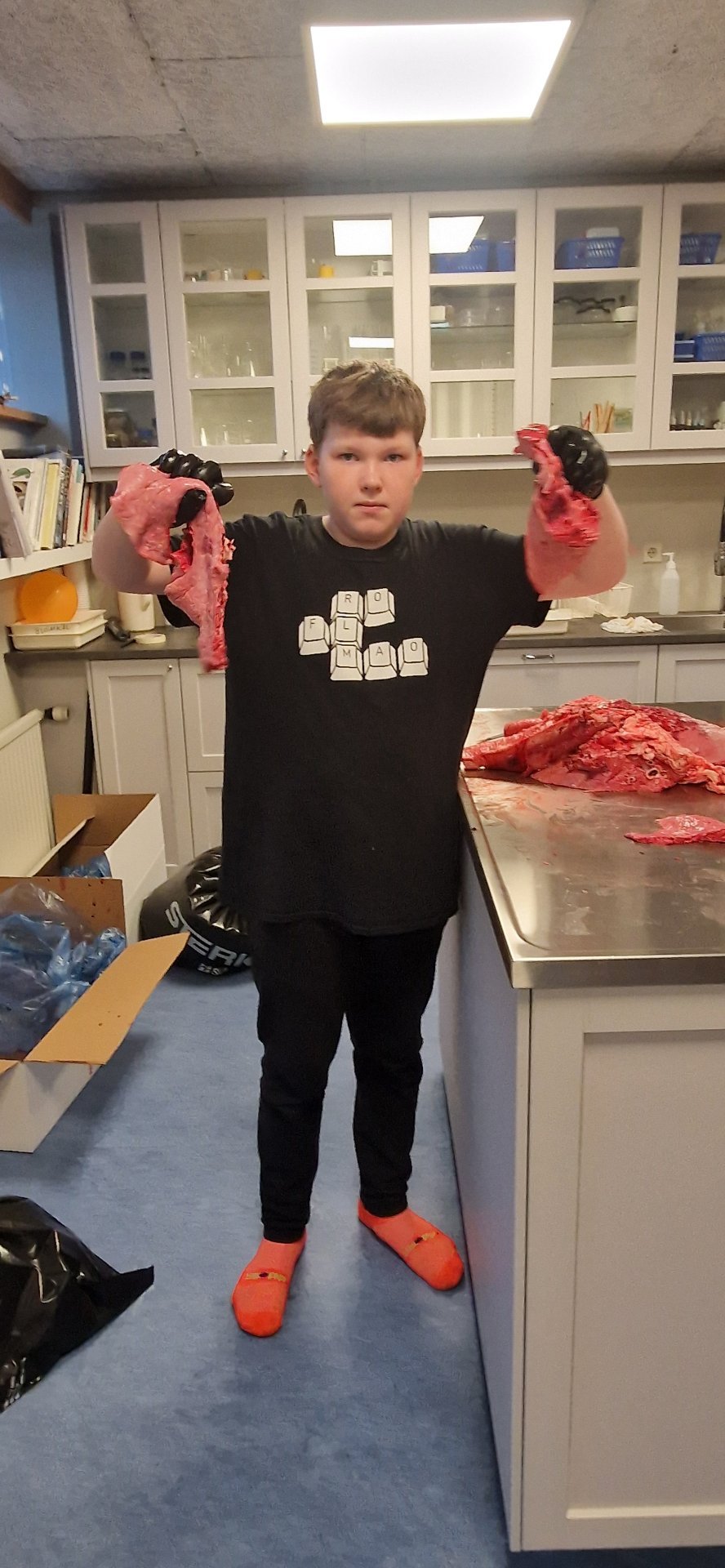 Valgreinadagur á Hvammstanga