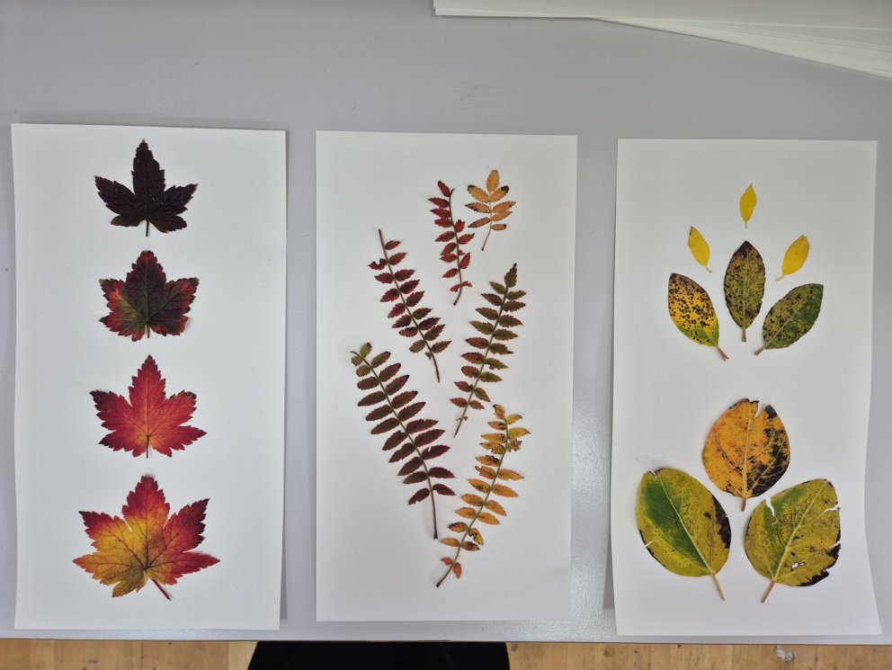 Listaverk úr laufblöðum