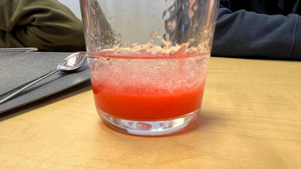 Heimsókn á unglingastig frá líftækninema við HA