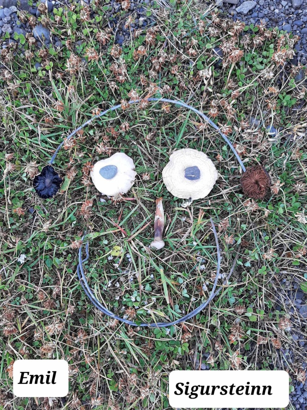 Dagur íslenskrar náttúru - 1.-3.bekkur