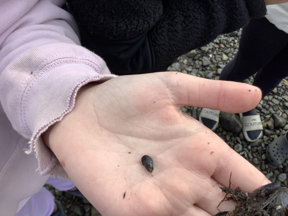 Námsferð að Hrafná