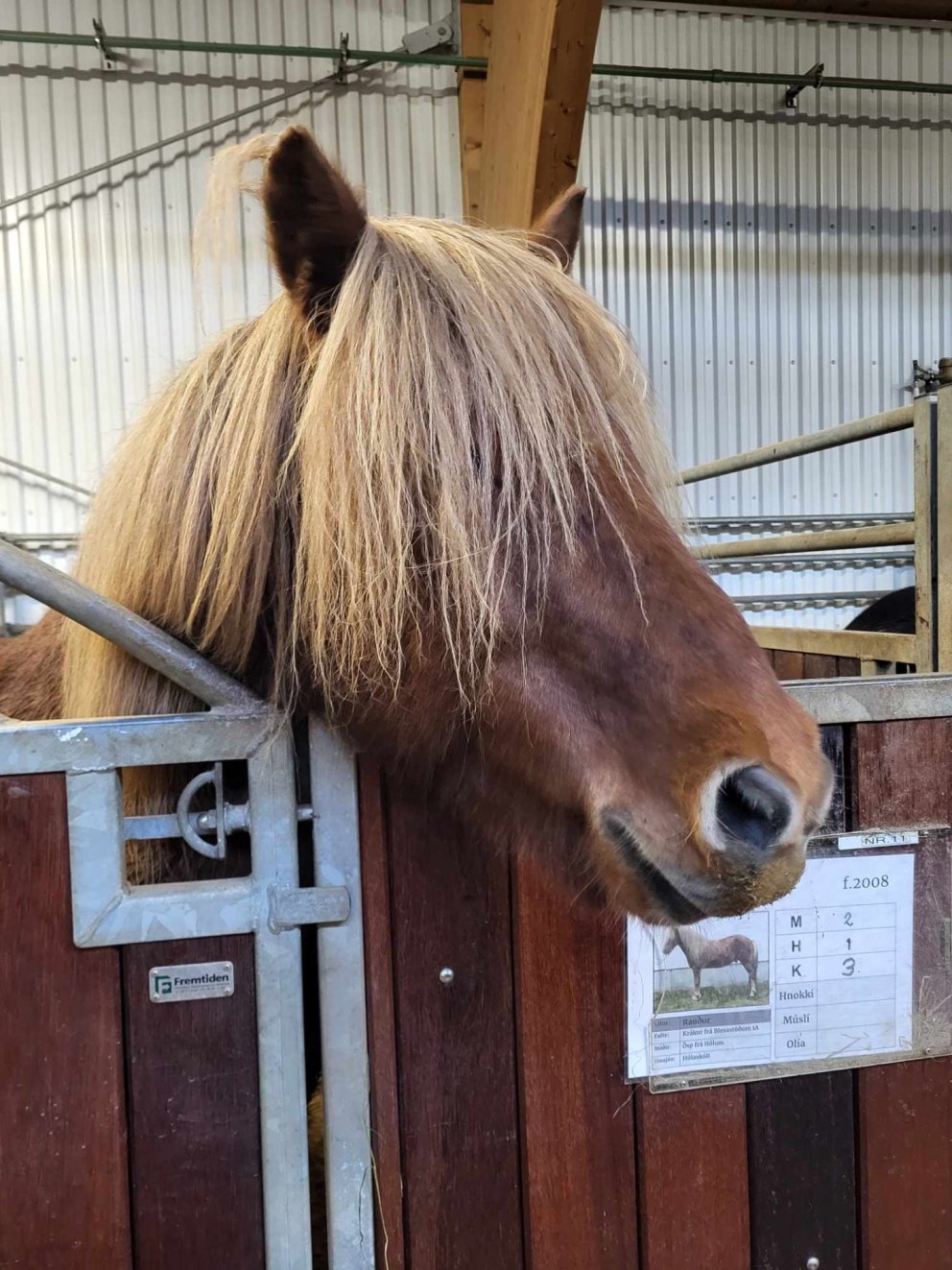 Heimsókn að Hólum í Hjaltadal