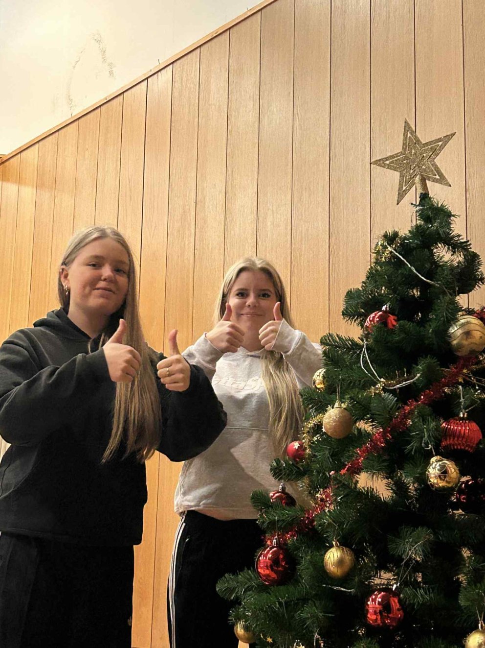 Nemendur 10.bekkjar skreyttu jólatréð í Fellsborg