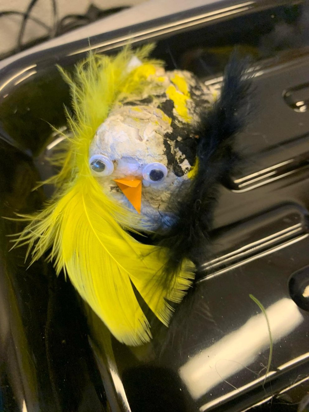 Frá eggjabakka til listaverks