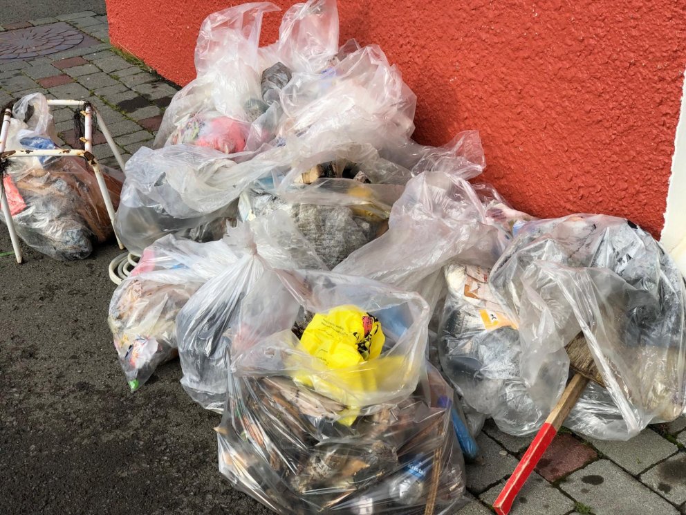 Dagur íslenskrar náttúru