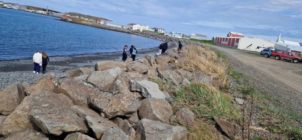 Útiverkefni hjá 4. og 5. bekk