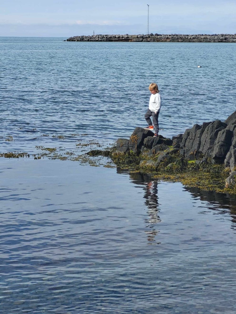 Fjöruferð í veðurblíðunni