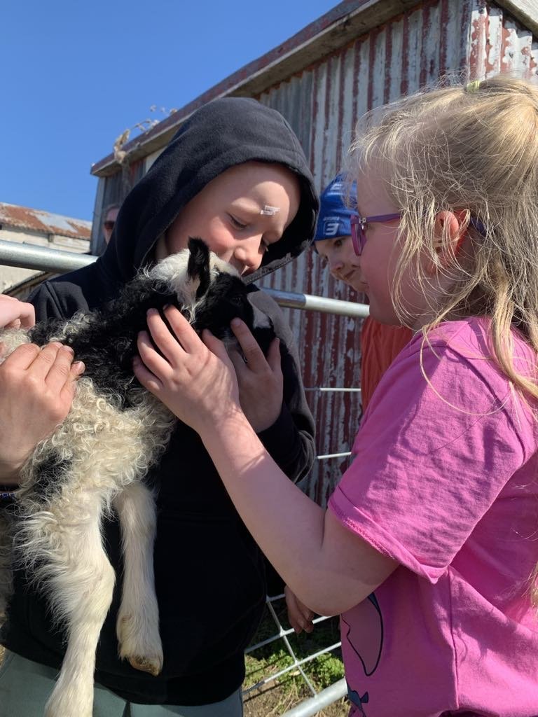 Meeeeeeee-ga gaman í fjárhúsunum