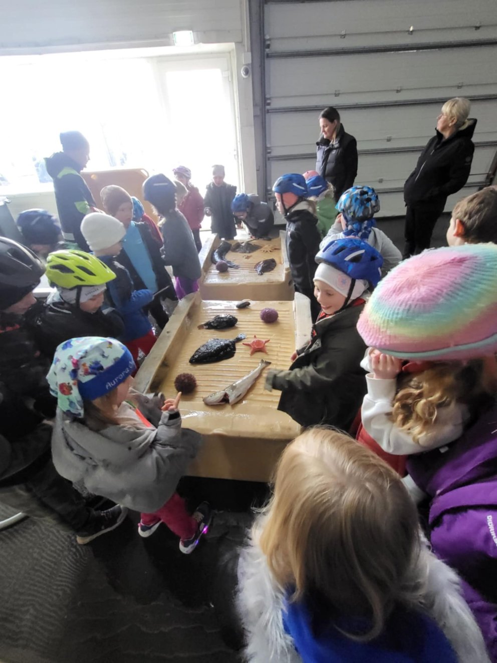 Heimsókn á Fiskmarkaðinn