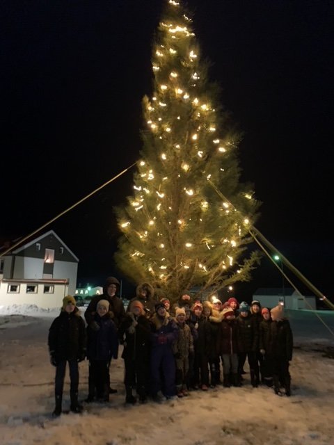 Ljósin tendruð á jólatrénu á Hnappstaðatúni