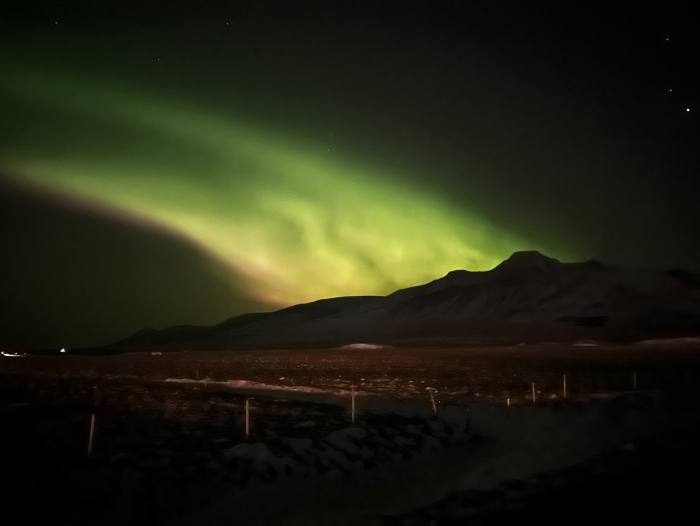 Föstudagskveðja á fimmtudegi