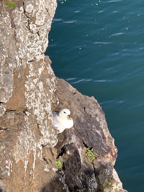 Nemendur í 6. - 7. bekk fóru í vettvangsferð