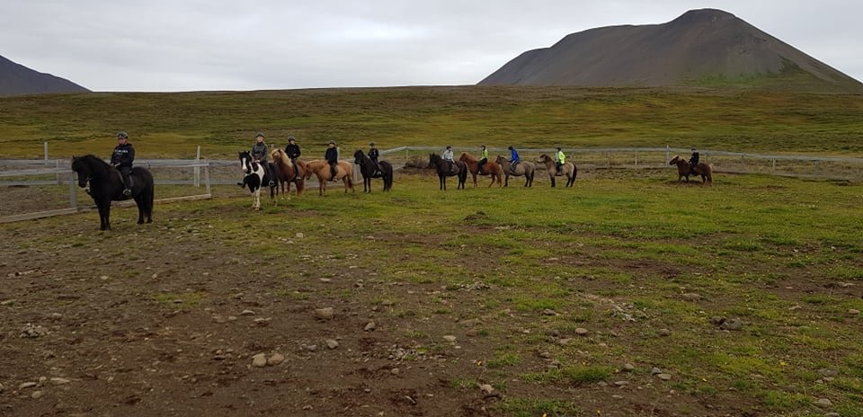 Hestaval á unglingastigi