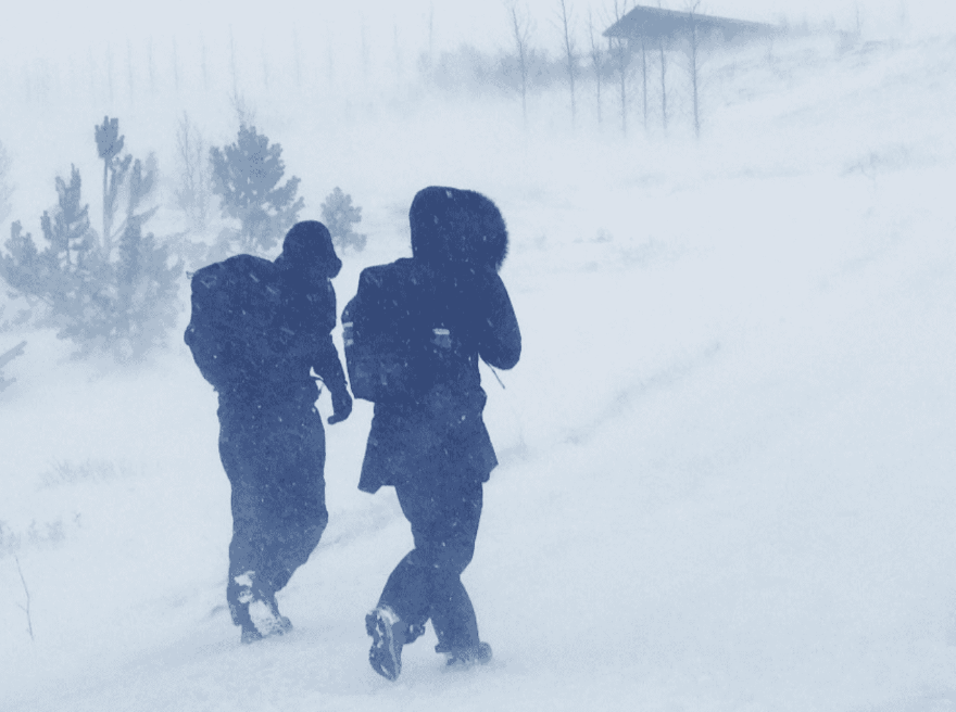 Föstudagskveðja í hríðinni