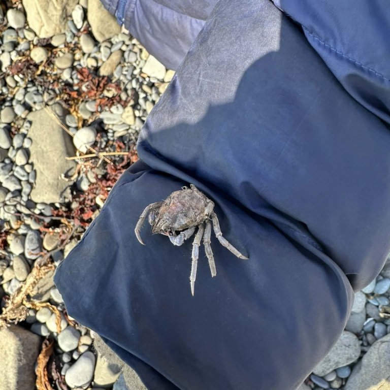 Rannsóknarferð í blíðunni