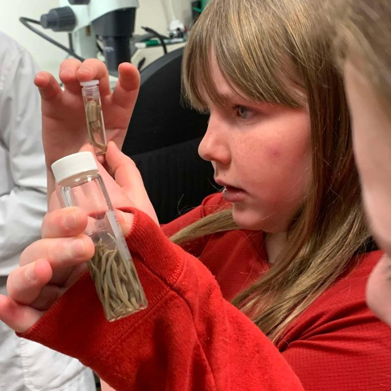 Heimsókn 5. og 6. bekkjar í BioPol