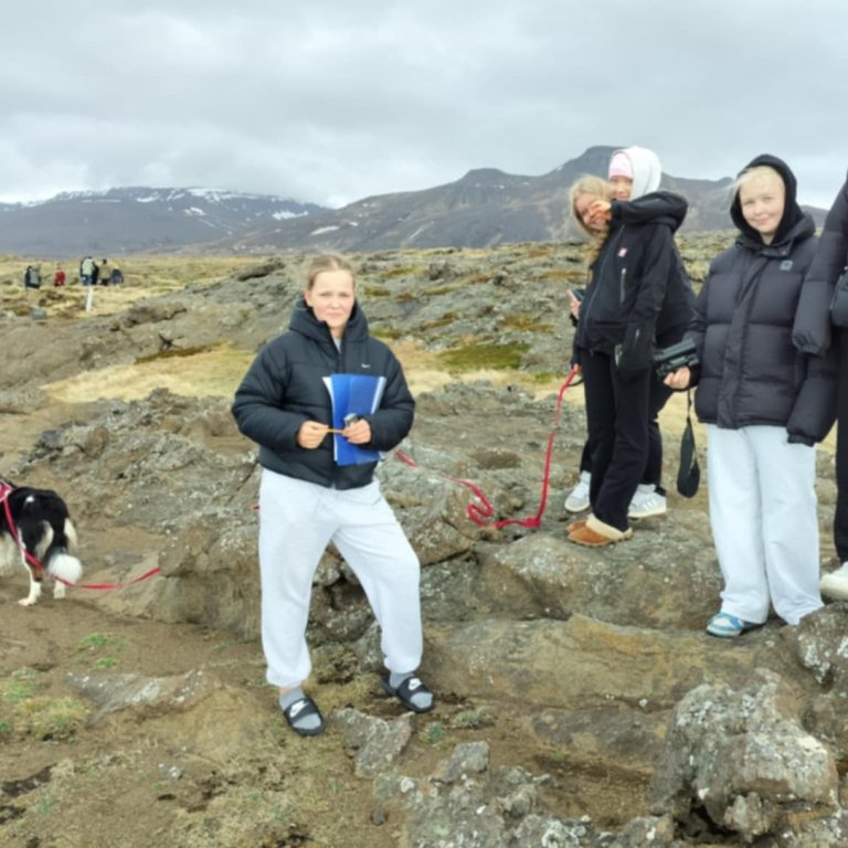 Nemendur í tilraunavali kanna fuglalíf á Höfðanum