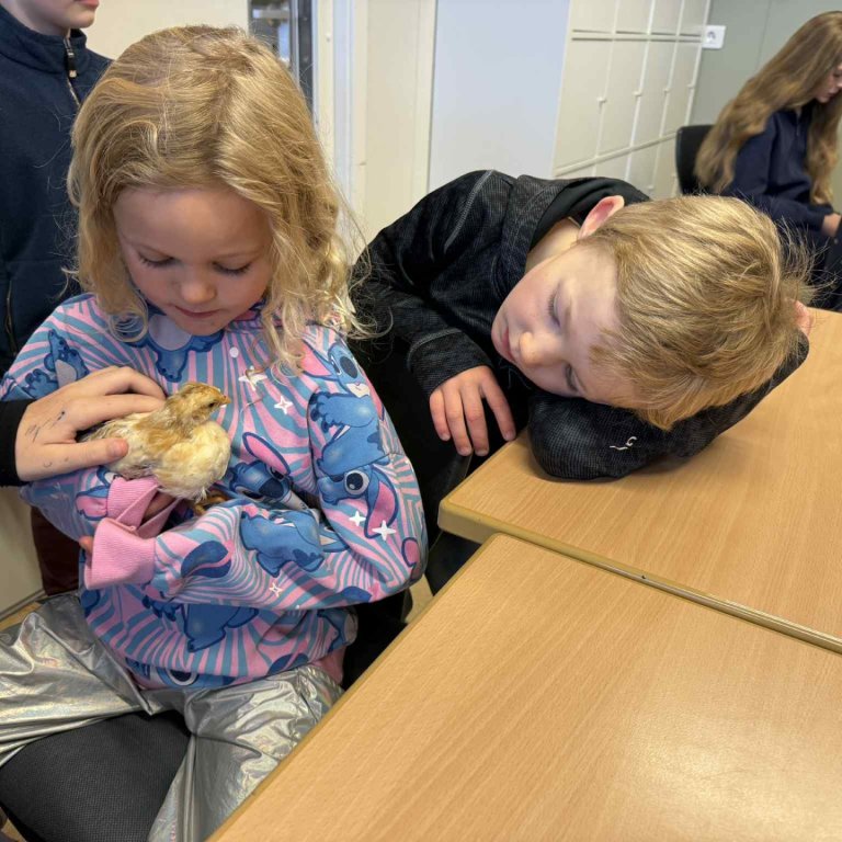 Fjölgun í skólanum