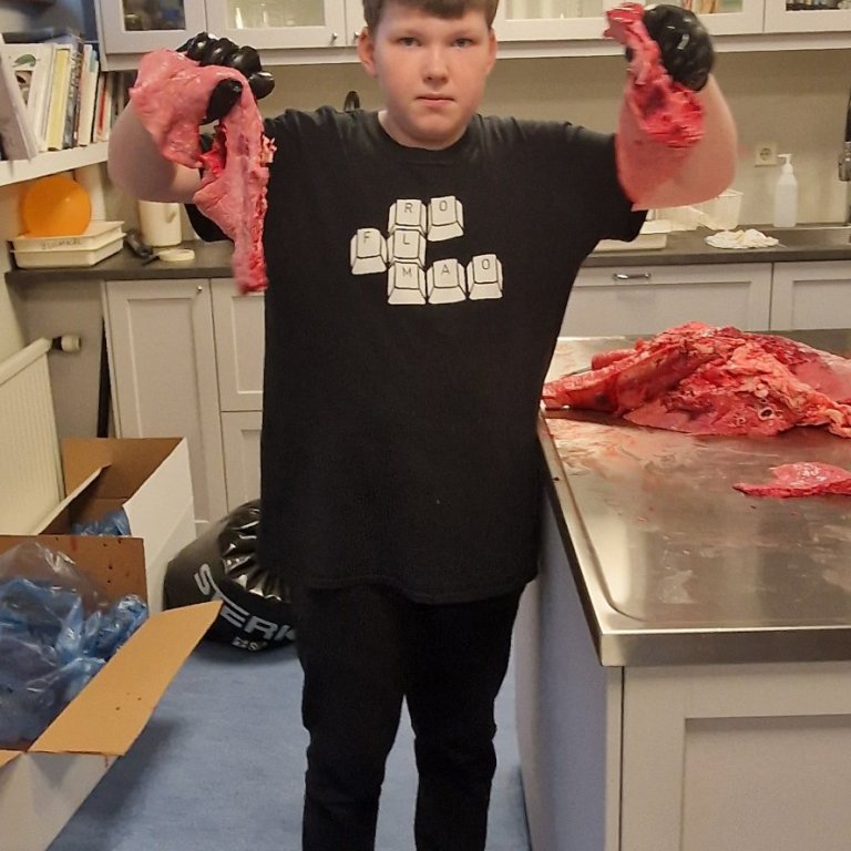 Valgreinadagur á Hvammstanga