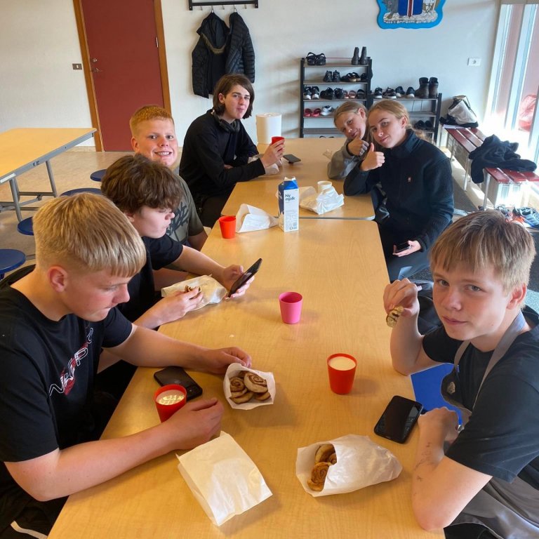 Matreiðsla á unglingastigi