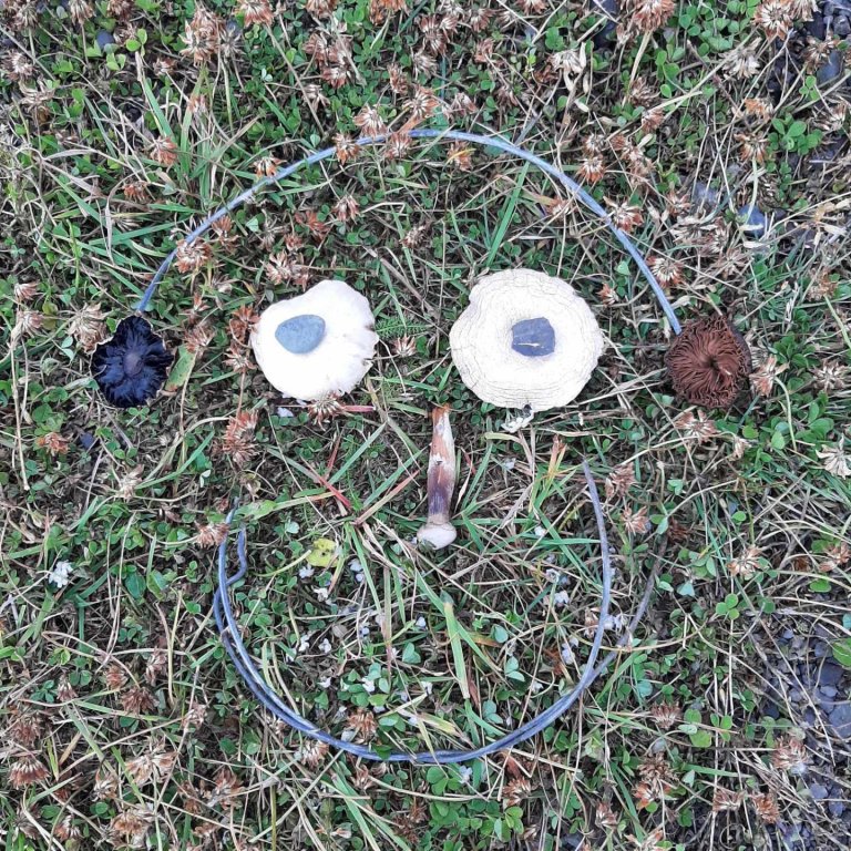 Dagur íslenskrar náttúru - 1.-3.bekkur