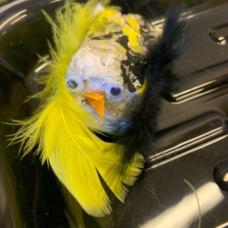 Frá eggjabakka til listaverks