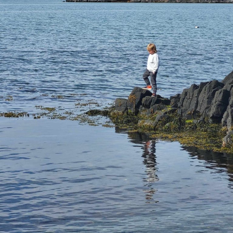 Fjöruferð í veðurblíðunni