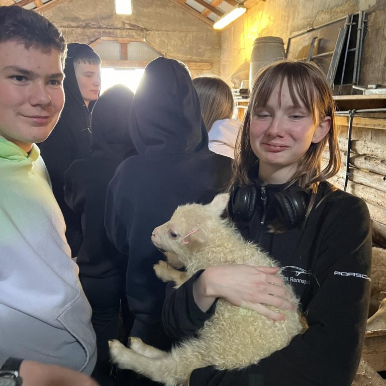 Nemendur 8.bekkjar skelltu sér í fjárhúsin á Hóli