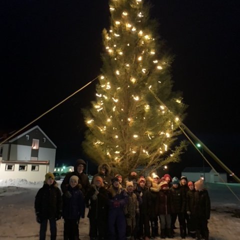 Ljósin tendruð á jólatrénu á Hnappstaðatúni