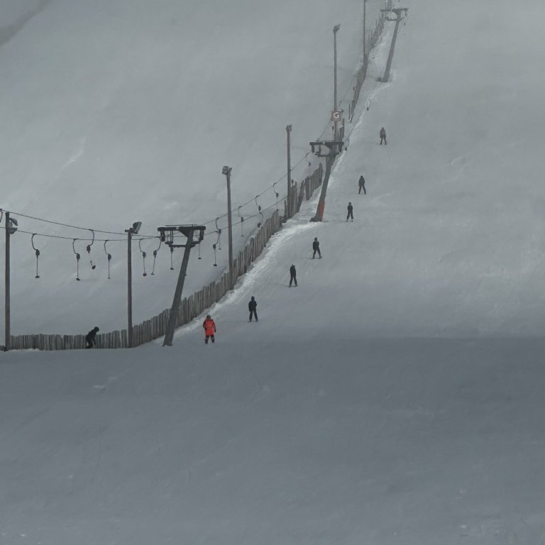 Föstudagskveðja í blíðunni