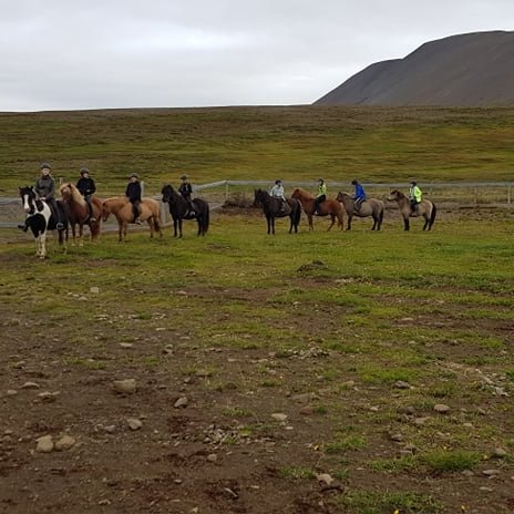 Hestaval á unglingastigi