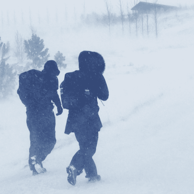 Föstudagskveðja í hríðinni