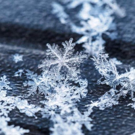 Föstudagskveðja á fimmtudegi